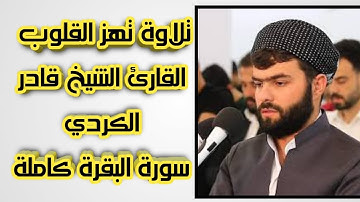سورة البقرة كاملة تلاوة تهتز لها القلوب للقارئ  قادر الكردى Surat Al Baqara