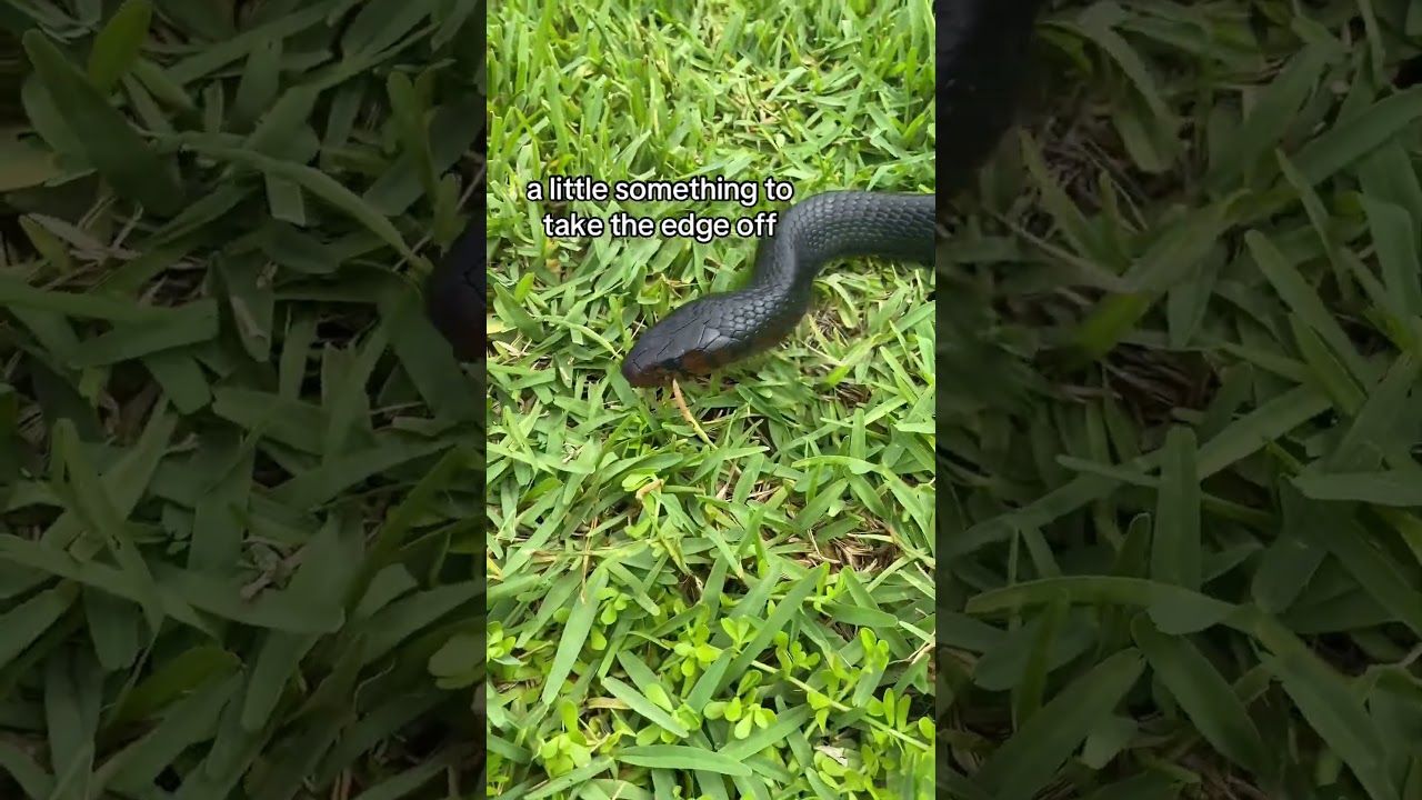 a little something ✨ 