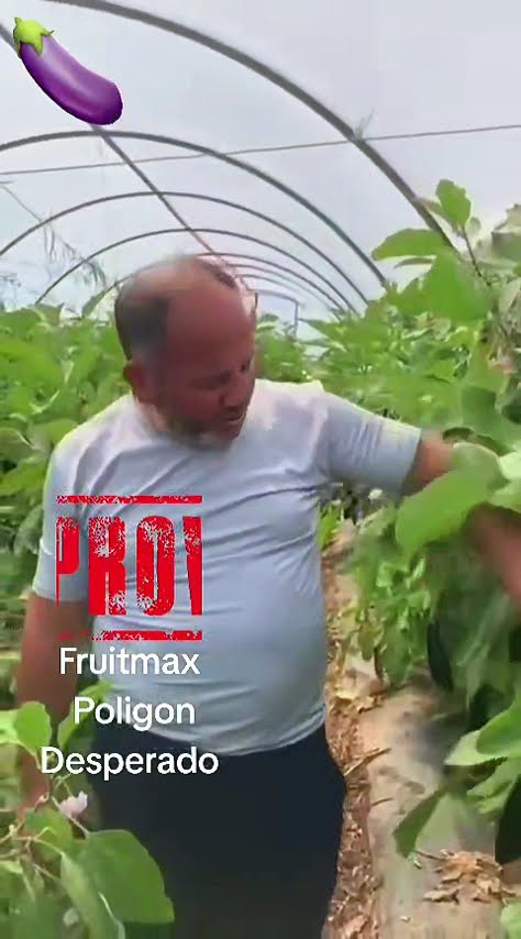 YouTube video kapağı