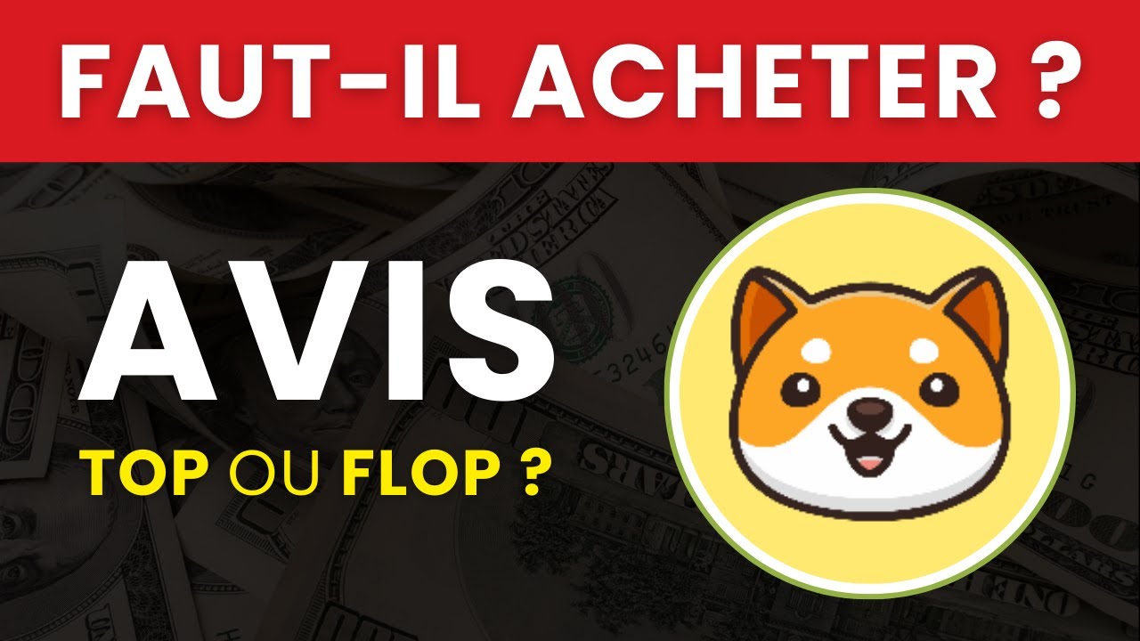 BABY DODGE COIN ($BABYDOGE) : Faut-il Acheter cette Crypto ? Une Arnaque ?  | Analyse & Avis 2025