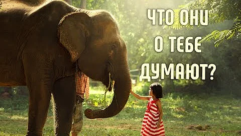 Что слоны думают о людях? | И еще несколько интересных фактов