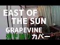 EAST OF THE SUN cover グレイプバイン GRAPEVINE  間違えてもマイペースで気軽に弾き語りカバー