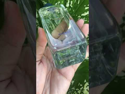 Hermes Iris Ukiyoé
