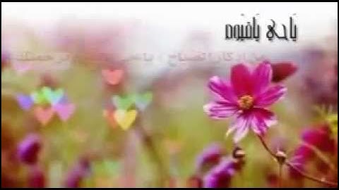 فضل الذكر للشيخ محمد الشنقيطي,, اقرا الاذكار بالليل والنهار