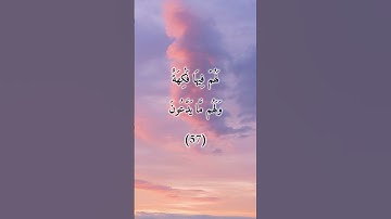 السورة: يس القارئ: هزاع البلوشي الاية: 55-58