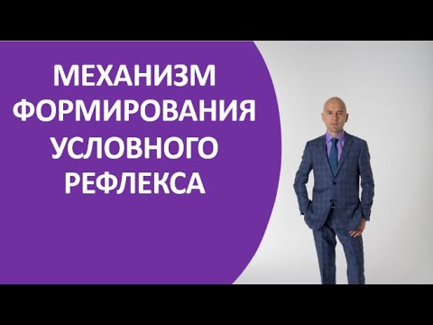 3.1 Механизм формирования условного рефлекса