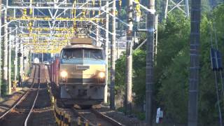 2016/06/10 JR貨物 【5099レ】EF66-26[吹]牽引 東海道本線