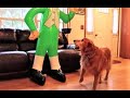 Talking Golden Retriever Dog Reacts To Giant Man!