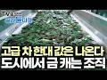 서로 매입해가려고 싸운다, 알려주지 않았는데 돈 되는 건 기가 막히게 찾는다는 사람들 쓰레기가 금으로 재탄생하는 과정|PD로그|#골라듄다큐