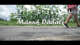 Musik Cover Indonesia || Manuk Dadali (Lagu Daerah) || Sape' Cover