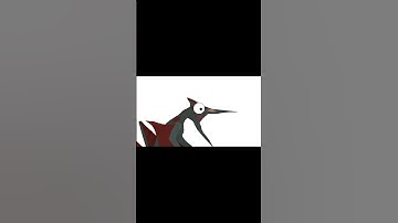 what the pterodactylus could