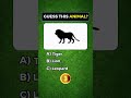 260323 logo quiz  HP281 EN 720×1280