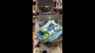 Building a Mini Pondless Waterfall in a BiOrb AIR 60 💧🌿 #shorts
