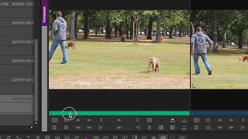 AVID EFFECTS TRANSITIONS