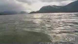 Ghost Nets