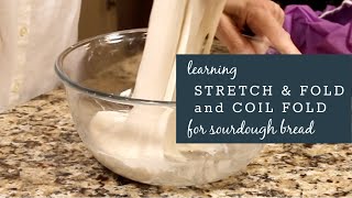 Learn How To Stretch & Fold and Coil Fold for Sourdough Bread