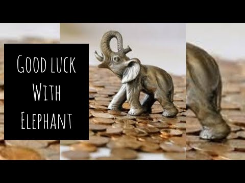 HOW TO PLACE ELEPHANT STATUE FOR GOOD LUCK