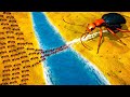 NEW Fire Ants vs Bombardier Beetle in Empires of the Undergrowth Update - Fire Ant Bridge Battle!