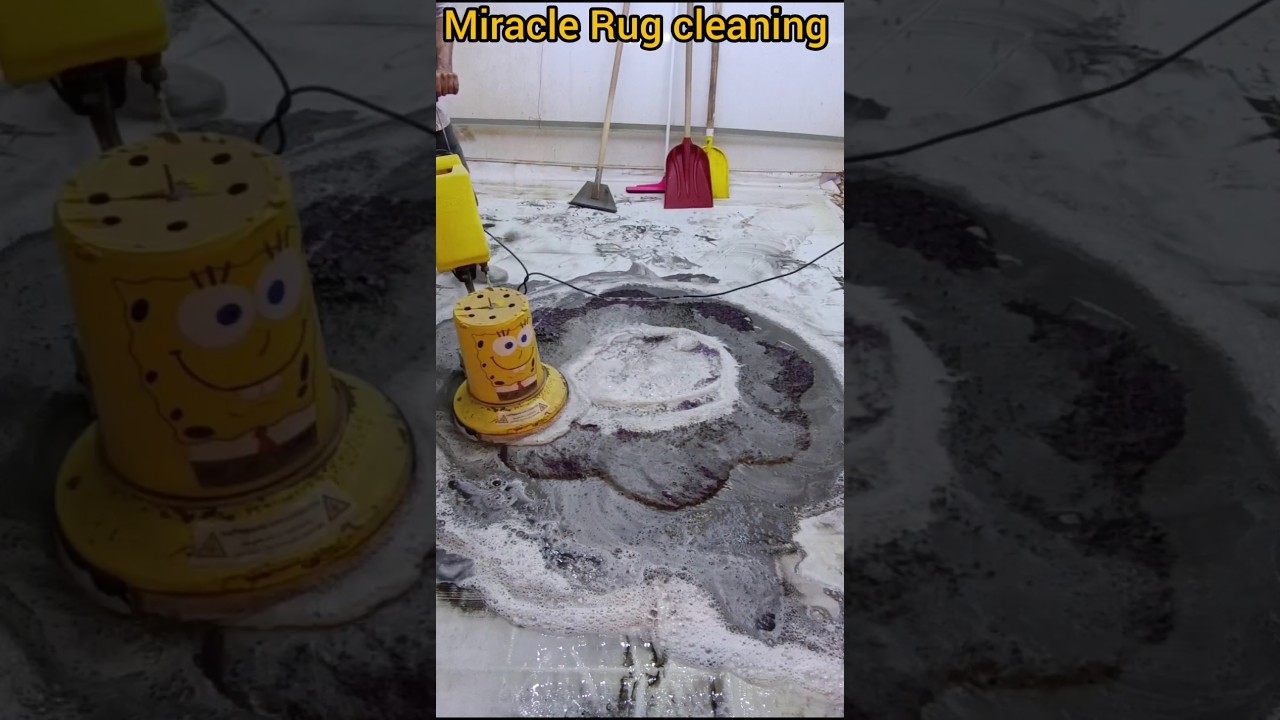 Was this rug really saved?  Look what happened!😱