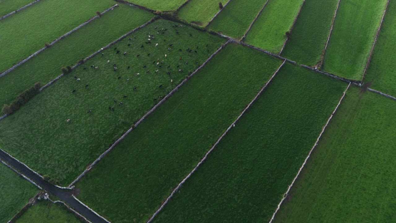 Kerrygold Presents: The Golden Reason