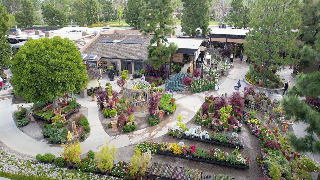 Spring Celebration • Experience Spring in the Garden 2022