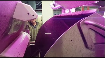 Dryce optical sorter for chestnuts | RAYTEC VISION SpA