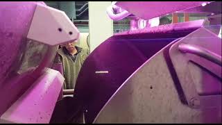 Dryce optical sorter for chestnuts | RAYTEC VISION SpA
