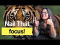 Master Autofocus Like a Pro in 5 Minutes!