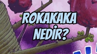 JoJolion | Rokakaka Nedir?