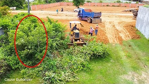 How the best technique to clear forest by KOMATSU D20P