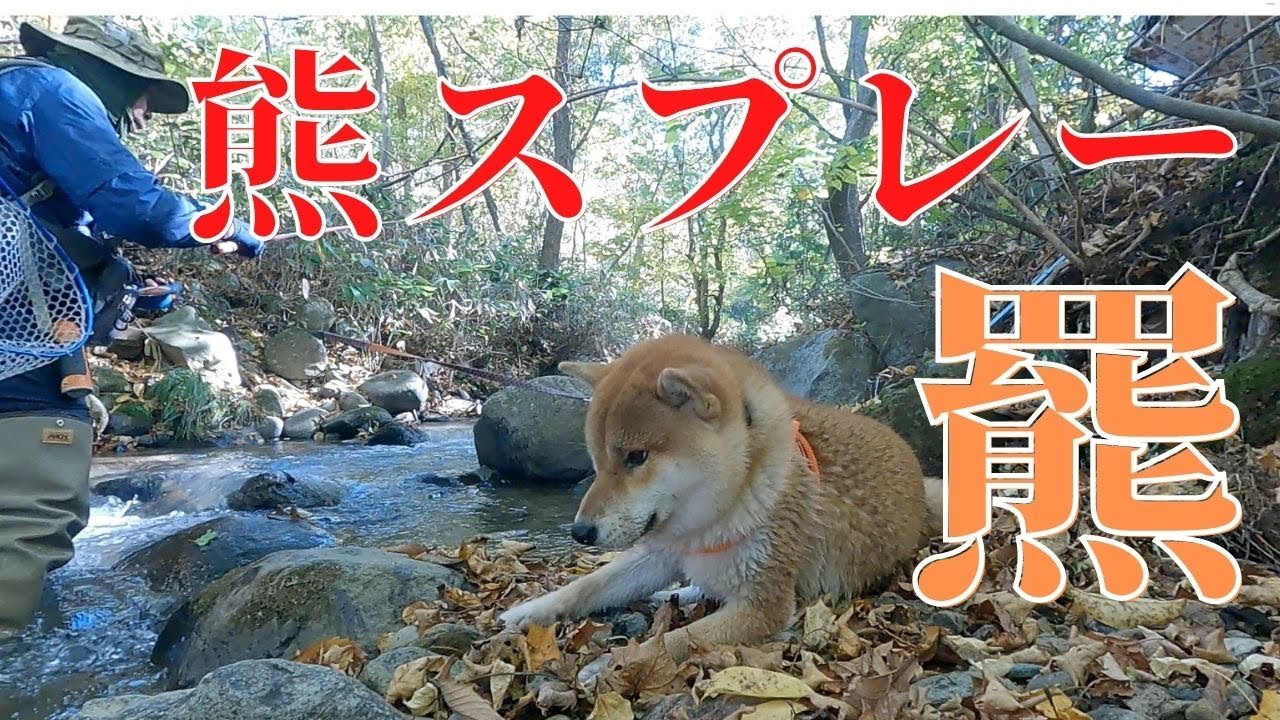 渓流釣り、登山、キャンプのお供に！熊よけスプレー　最終値下げ