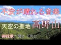 【天空の聖地高野山】御詠歌の響きで体感する高野山~紅葉の山々や、雪景色に包まれた壇上伽藍、荘厳な奥之院の風景を、観光する気分で味わって下さい