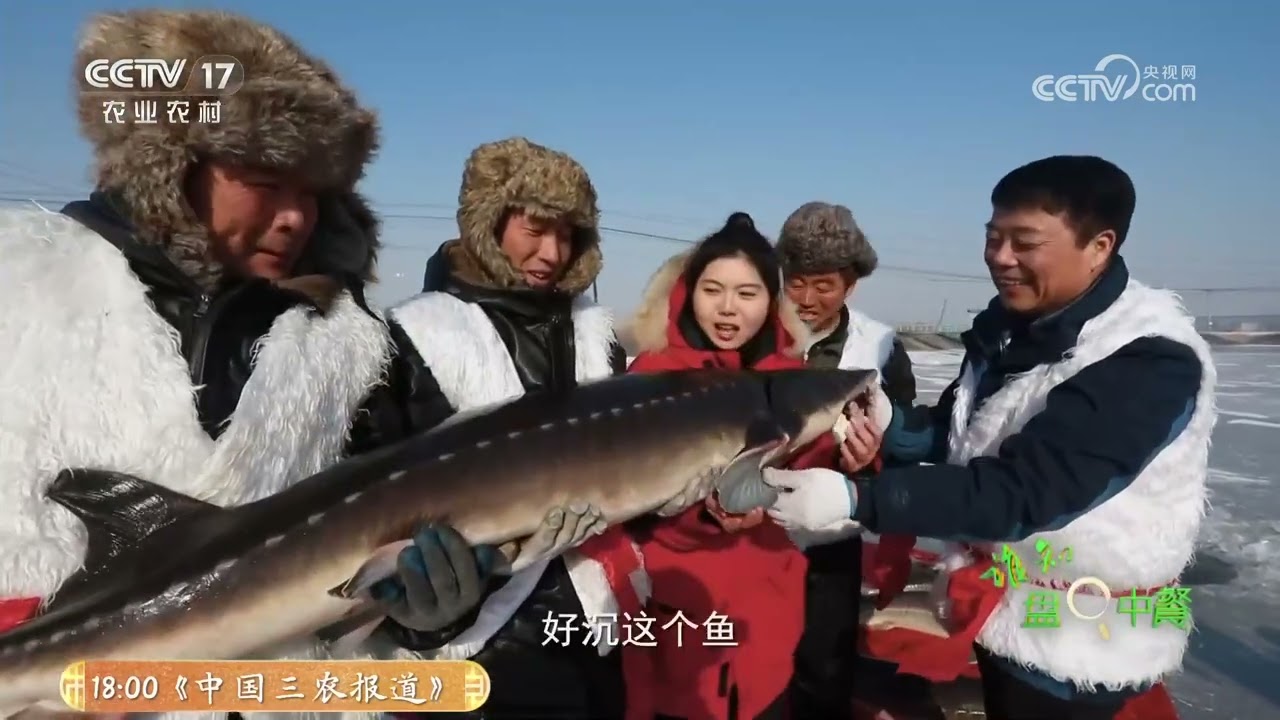 《谁知盘中餐》 20260309 化“险”为鲜寻鱼记 | 农业致富经 Agriculture And Farming