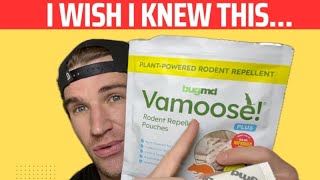 BugMD Vamoose! Plus Peppermint Oil Mouse Repellent | Is It Worth It?