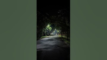 القرآن الكريم بصوت الشيخ إبراهيم إدريس ☘️🤍وكان الله غفورا رحيما  Al Quran Al Kareem
