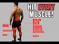 The Best Science-Based Lower Body Workout for Growth (Quads/Hams/Glutes)