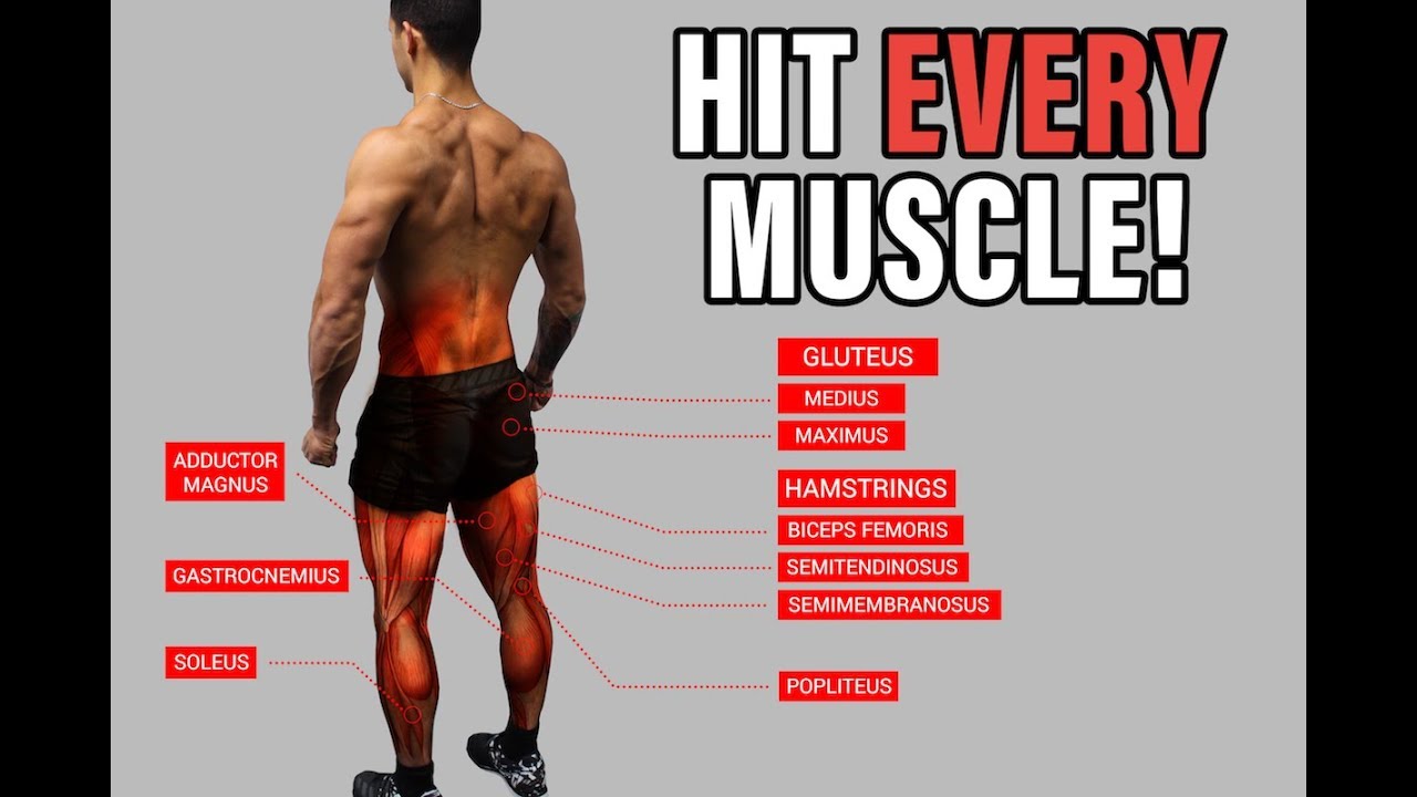 ⁣The Best Science-Based Lower Body Workout for Growth (Quads/Hams/Glutes)