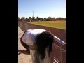 Should she pee in the trash can?.. Na just plank on it! (FAIL PART 3) Blove&Kat