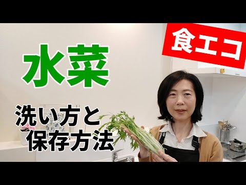 【食エコ+楽テク】水菜の洗い方と保存、キレイで安心♪