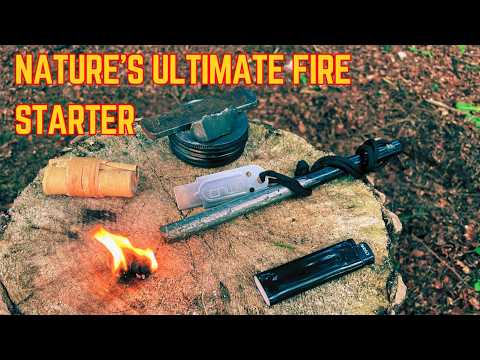 Nature’s Ultimate Fire Starter: Igniting Birch Bark with 3 Methods