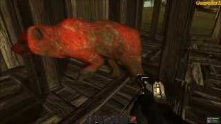 Rust glitch - bears: ghosts and moles...