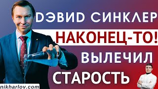 Дэвид Синклер долгожитель - учёный: Как замедлить старение, продлить жизнь. David Sinclair Lifespan.