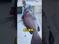 この信じられないほど巨大な水の生き物は恥ずかしがっていません