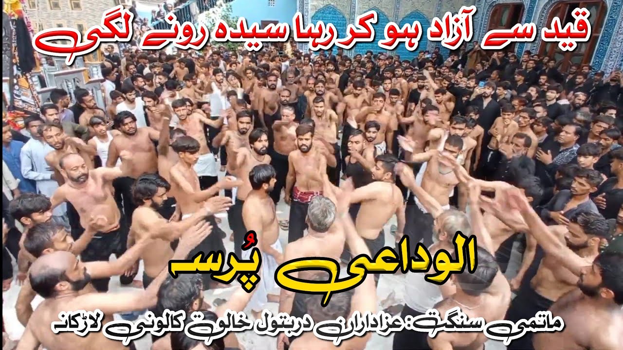 Qaid Se Azad Ho Kar Syeda Rone Lagi | 8 Rabi ul Awal 2024 Noha | Anjuman Dar e Batool Larkana