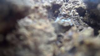 Zosuv Pôdy Košiarny Briežok Ii