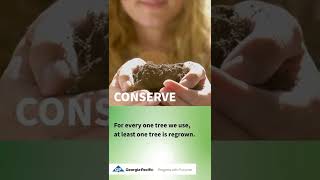 Short: Progress with Purpose: Tree Planting | Georgia-Pacific