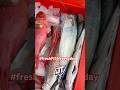 [4K]HONIARA SOLOMON ISLANDS FISH ALWAYS FRESH &amp; CHEAPEST BY THE ROADSIDE #shortvideo #shorts