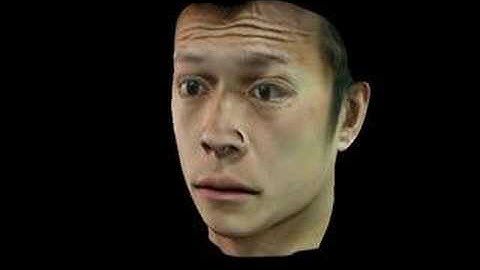 3D Facial animation with expression detail mapping 1