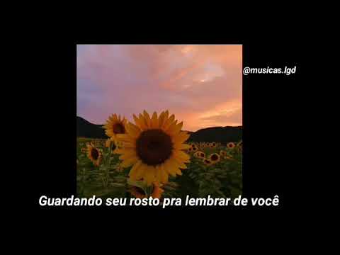 Baco exu do blues - Girassóis de Van Gogh (cover Mariana froes) [Legendado]