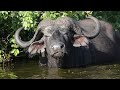 Series 1 : Episode 5 : Final Leg - Lake Mburo and we turn Upside Down again